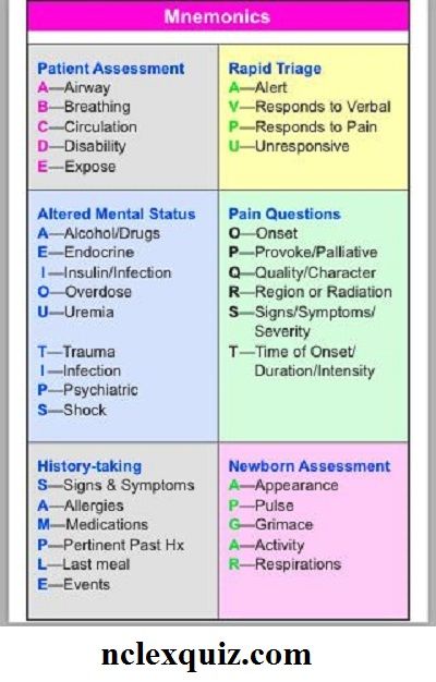 EMT/Paramedic's Mnemonics Cheat Sheet ... Emt Tips And Tricks, Emt Must Haves, Emt Notes Aesthetic, Emt Basic Notes, Emt Basic Pharmacology, Ems Study Notes, Emt Basic Study Cheat Sheets, Emt Basic Study Test Prep, Emt Study Notes