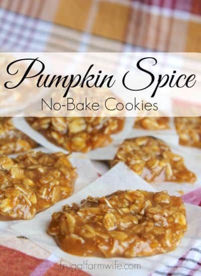 Pumpkin No Bake, No Bake Pumpkin, Pastas Recipes, Pumpkin Spice Cookies, Farm Wife, Baking Recipes Cookies, Everything Pumpkin, Pumpkin Everything, Spice Cookies