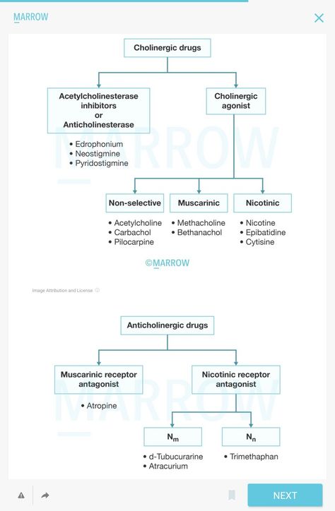 Nicotinic And Muscarinic Receptors, Muscle Relaxants Pharmacology, Ans Pharmacology Notes, Anticholinergic Mnemonic, Cholinergic Agonists, Pharmacology Nursing Notes, Advanced Pharmacology, Pharmacology Flash Cards, Pharmacology Notes