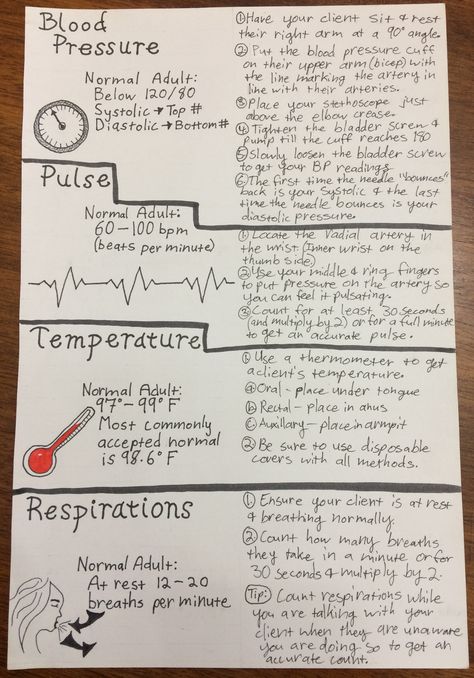 Assignment 4.3: the four vital signs that ought to be checked at a prenatal appointment. Medical Assistant Vital Signs, Taking Vitals Signs, Ccma Medical Assistant, Anesthesiologist Notes, Vital Signs Notes, Vital Signs Chart Nursing, Vital Signs Nursing Notes, Cna Notes, Fca Ideas