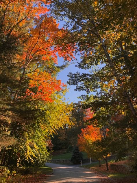 Beginning Of Fall Aesthetic, Spring And Fall Aesthetic, Bright Autumn Aesthetic, Season Autumn, Summer Fall, Fall Orange Aesthetic, Nature Fall, Autumn Massachusetts, Fall In The South