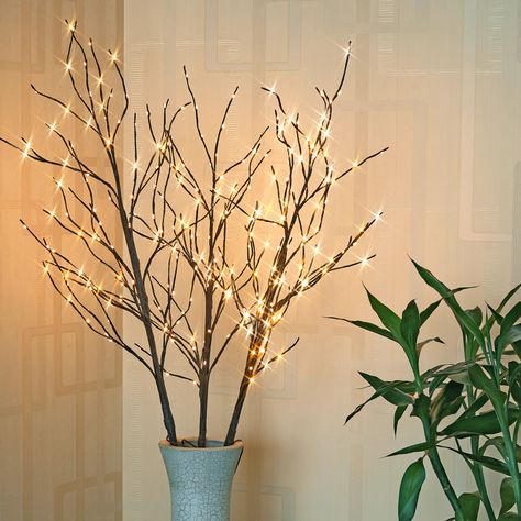 41'' LED Lighted Trees & Branches & Reviews | Birch Lane Pre Lit Twig Tree, Bright Holiday Decor, Lighted Tree Branches, Lighted Trees, Twig Lights, Branches Diy, Natural Branches, Mini Led Lights, Dinner Party Decorations