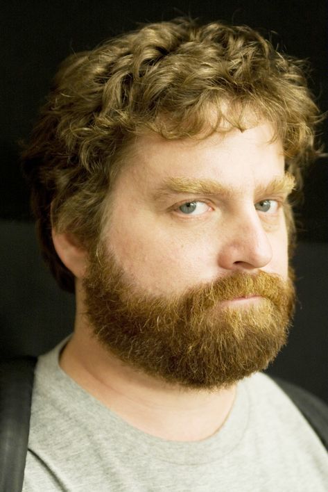 Zach Galifianakis (1969) (The Hangover, It's a kind of a funny story, Force Pictures, Red Hair Men, Zach Galifianakis, Farewell Party, G Force, Ginger Beard, Fav Celebrities, Stand Up Comedians, Celebrities Male