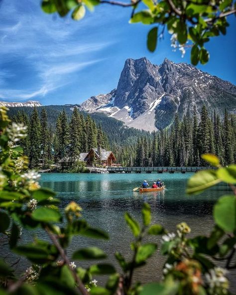 Emerald Lake Canada, Yoho National Park Canada, Lake In Canada, Canada Nature, Yoho National Park, Canada National Parks, Emerald Lake, O Canada, Explore Canada