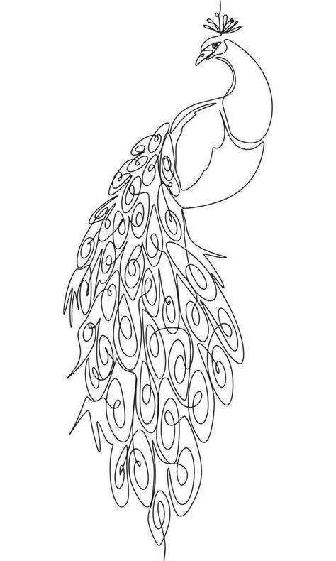 The peacock is sitting isolated on white background. One line continuous bird. Line art beautiful bird peacock, outline vector illustration. Peacock Feather Line Art, Peacock Line Tattoo, Peacock Sketch Simple, Beautiful Bird Drawing, Peacock Line Drawing, Peacock Line Art, Peacock Outline Drawing, Small Peacock Tattoo, Peacock Outline