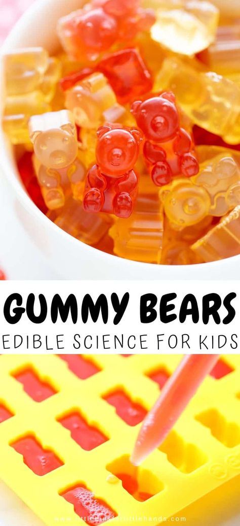 Gummie Bear Recipe, Easy Gummy Recipe, Natural Gummy Bear Recipe, Gummy Worm Recipe, Homemade Gummy Bears With Jello, Spicy Gummy Bears Recipe, Organic Gummy Bear Recipe, Gummy Bear Recipe With Gelatin, Gummy Bear Ice Cream