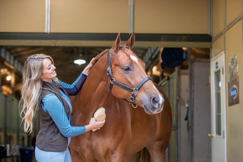 Put Together the Essential Horse Grooming Kit Grooming Horse, Horse Vet, Horse Grooming Supplies, Horse Grooming Kit, Show Jumping Horses, Saddle Rack, Horse Care Tips, Equestrian Problems, Natural Horsemanship