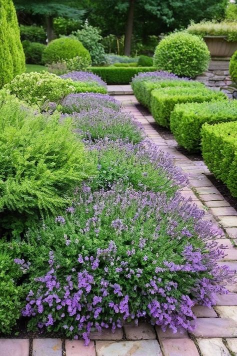 Discover a variety of hardy ground cover plants perfect for your garden. Whether you're looking for no-mow alternatives to grass lawn or flowering ground cover plants, we've got you covered! From bugleweed and mat-rush to creeping thyme and cold-hardy options, find the best solutions for your landscaping needs. Explore full-sun flowering ground covers and tropical plants for shady areas to create a vibrant and lush outdoor space. Landscaping With Ground Cover Plants, Ground Cover Plants For Sun, Creeping Thyme Ground Cover, Ground Cover Ideas, Groundcover Roses, Evergreen Ground Cover Plants, Rush Plant, Flowering Ground Cover, Plants For Shady Areas