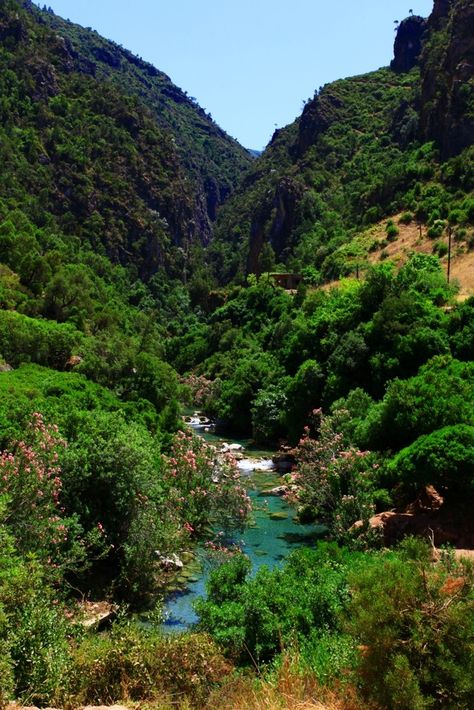 Akchour waterfalls in Chefchaouen, Morocco Heart Island, Morocco Beach, Agadir Morocco, Morocco Fashion, Travel Morocco, Visit Morocco, Moroccan Culture, Secret Place, Morocco Travel