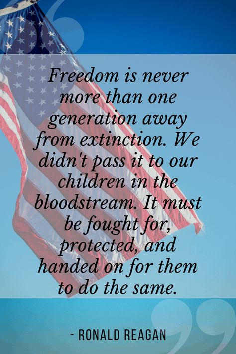 American Freedom Quotes, Proud American Quotes, Freedom Quotes American, July Widget, American Flag Quotes, Usa Constitution, Seasonal Quotes, Freedom Is Not Free, Ronald Reagan Quotes