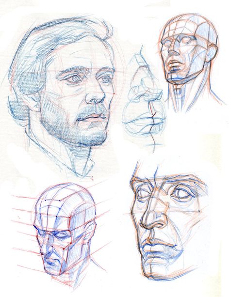 Head Sketches, Planes Of The Face, Face Anatomy, 얼굴 드로잉, Human Anatomy Drawing, 얼굴 그리기, Drawing Heads, Anatomy Sketches, Anatomy For Artists