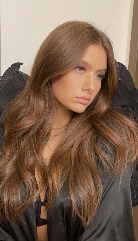 Brown Hair Inspo Color For Pale Skin, Warm Toned Light Brown Hair, Golden Apricot Hair Color, Brown Curtain Bangs, Amber Brown Hair, Ombre Ash Brown, Warm Light Brown Hair, Nothing More To Tell, Cinnamon Brown Hair