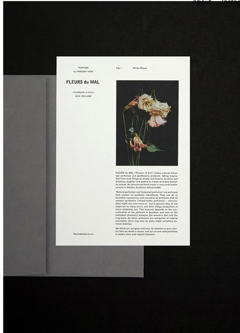 Editorial Design Layouts, Design De Configuration, Mises En Page Design Graphique, Editorial Design Layout, Book And Magazine Design, Buch Design, 타이포그래피 포스터 디자인, Magazine Layout Design, 카드 디자인