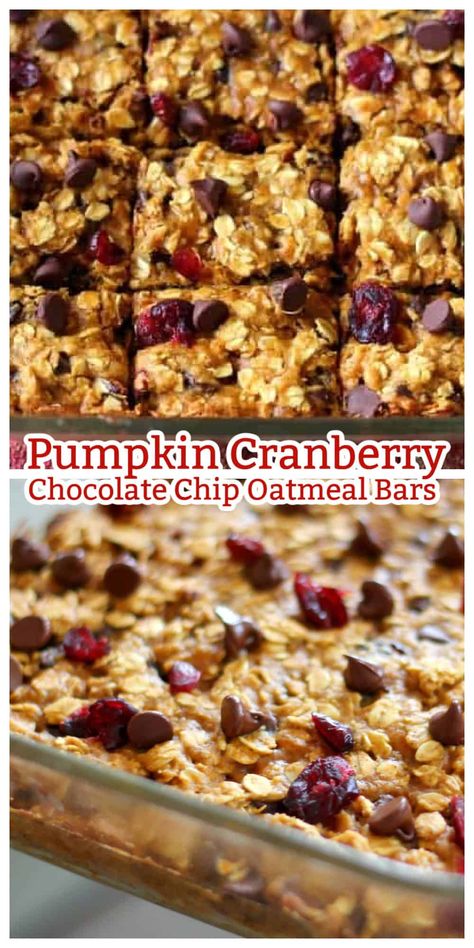 Pumpkin Oatmeal Bars Healthy, Pumpkin Cranberry Cookies, Cranberry Oatmeal Bars, Chocolate Chip Oatmeal Bars, Halloween Baking Recipes, Brownie Mix Recipes, Oatmeal Chocolate Chip Bars, Cranberry Chocolate, Oatmeal Bake