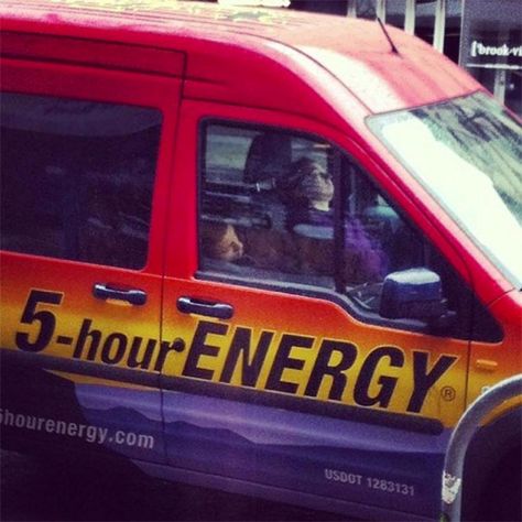 The Irony Ironic Pictures, 5 Hour Energy, Oh The Irony, Zero Hour, You Had One Job, One Job, Epic Fails, Work Humor, Laughter Is The Best Medicine