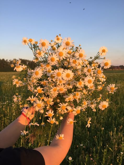 Emely Core Aesthetics, Anneliese Core, Flower Child Aesthetic, Music Cover Photos, My Plant, Nothing But Flowers, Teen Life Hacks, Plant Aesthetic, Flower Therapy