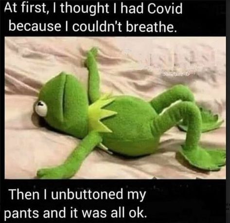 Kermit Funny, Monday Humor, Funny Thoughts, Davao, Need A Laugh, Twisted Humor, Ha Ha Ha, E Card, Laughter Is The Best Medicine