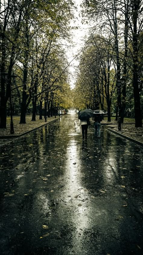 Rainy Mood, Rainy Street, Freezing Rain, Rainy Day Aesthetic, I Love Rain, Autumn Rain, Love Rain, Walking In The Rain, Singing In The Rain