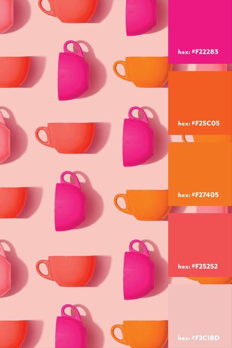 Trending♨ graphicdesignergift #cafelogo #logopose #minimallogodesign🎖️ Fuschia Orange Color Palette, Pink And Orange Pallete, Pink Orange Pallete, Orange Pink Black Color Palette, Pink And Tangerine Color Palette, Color Palette Fuschia, Orange Pink Color Scheme, Bright Logo Color Palette, Coral Colour Scheme