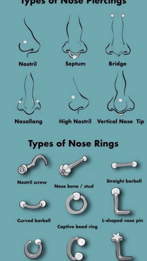 Types Of Nose Piercings, Types Of Nose, Piercing Types, Different Types Of Piercings, Types Of Dreams, Piercing Chart, Nose Piercings, Types Of Piercings, Piercing Studio