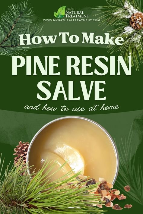 Salves And Balms, Healing Salve Recipe, Homemade Salve, Medicinal Wild Plants, Pine Resin, Healing Salve, Salve Recipes, Herbal Salves, Medical Herbs