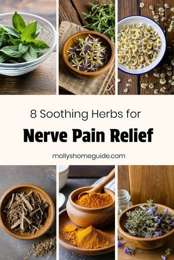 Discover the best natural remedies for nerve pain relief with these powerful herbs and essential oils. Whether you're seeking relief from neuropathy or general nerve pain, these pain-relieving herbs have got you covered. Explore the soothing benefits of herbal remedies and essential oils to help alleviate nerve discomfort naturally. Incorporate these natural alternatives into your wellness routine for effective relief from nerve-related issues. Say goodbye to discomfort and hello to a more comfo Holistic Nerve Healing, Essential Oils For Vagus Nerve, Herbs To Calm Nerves, Herbs For Nerve Damage, Herbs For Pain And Inflammation, Essential Oils For Nerve Pain Relief, Tooth Nerve Pain Relief, Nerve Damage Remedies, Herbs For Nerve Pain