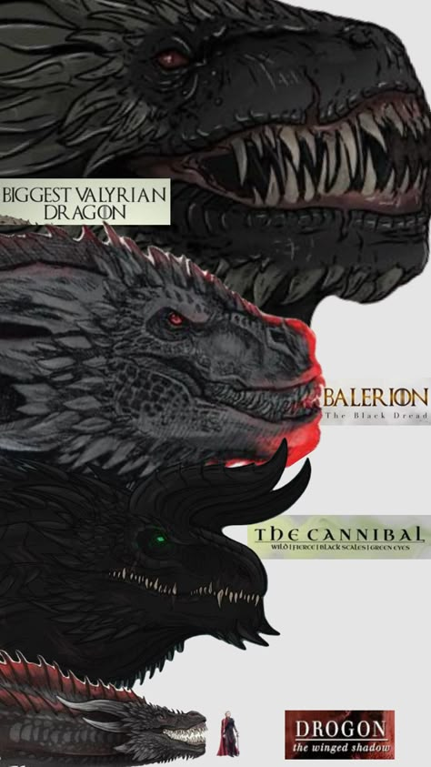 Dragon Sizes #dragons #asoiaf #houseofthedragon #gameofthrones #drogon #balerion Dragons Asoiaf, Balerion The Black Dread, Smaug Dragon, Hotd Dragons, Dibujos Anime Chibi, Game Of Thrones Artwork, Dragon House, Dragon Game Of Thrones, Game Of Thrones Dragons