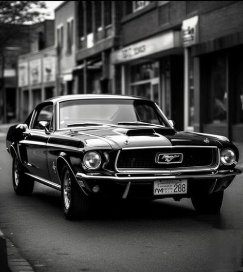 Vintage Black Mustang Aesthetic, All Mustang Models, Mustang Cars Classic, Black Ford Mustang 1967, 1967 Ford Mustang Shelby Gt500, Mustang 1969 Black, Mustang Cars Black, Old Mustang 1969, Ford Mustang 1969 Shelby Gt500