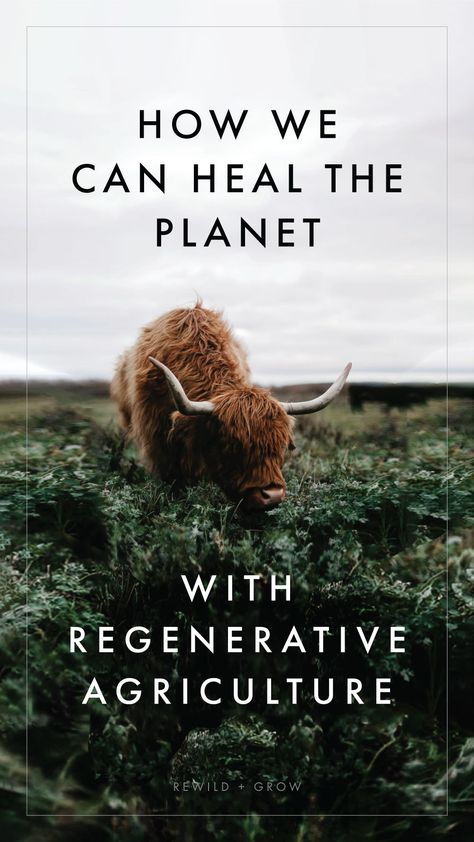 How we can Heal the Planet with Regenerative Agriculture Regenerative Agriculture Farms, Regenerative Farming, Regenerative Agriculture, Climate Crisis, Moscato, Book Suggestions, Eco Friendly Living, Environmental Science, Growing Food