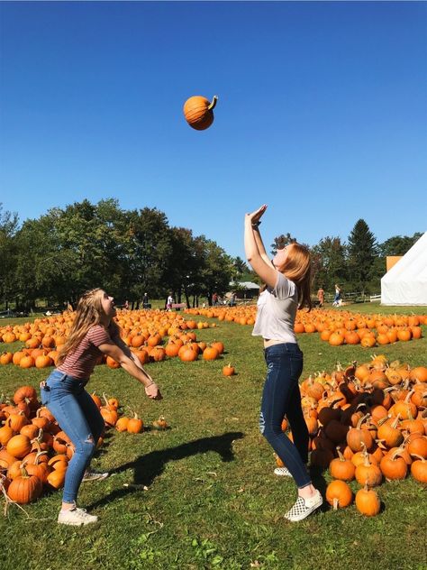 best friend, volleyball photography Fall Volleyball, Autumn Photo Ideas, Athletic Fall, Volleyball Photography, Volleyball Photos, Cute Home Screens, Friends Pic, Play Volleyball, Volleyball Pictures