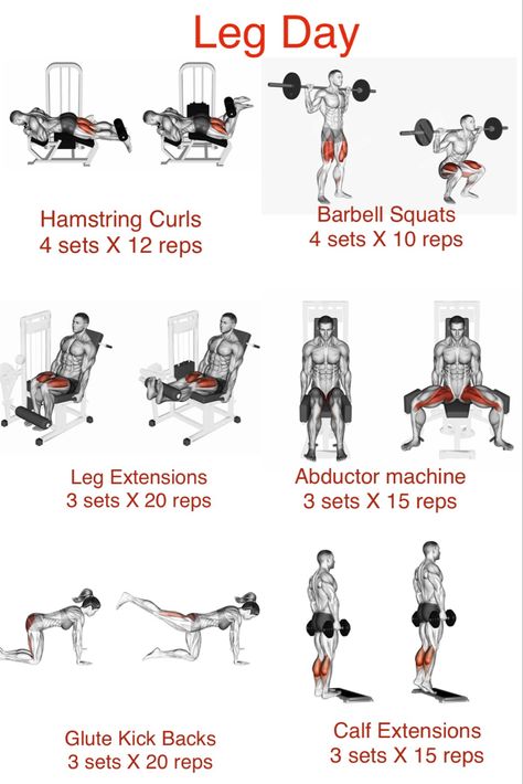 Good Leg Day Workouts, Workouts Legs Gym, Leg Gym Routine, Beginner Leg Workout Gym Men, Push Leg Day, Pt Workout Plan, Leg Pull In Exercise, Workout For Legs Gym, Pull Dat Workout