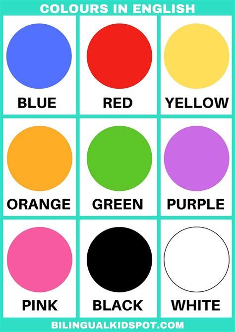 Color Names: List Of Colors In English With The Picture Preschool Charts, Teach English To Kids, Small Nursery, Color Flashcards, English Activities For Kids, Kids Worksheets Preschool, Learning English For Kids, Primary Colours, Teaching Colors