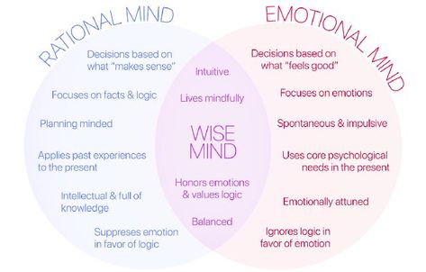 The intersection of rational thought and emotional feelings comprise the Wise Mind. Wise Mind, Thought Patterns, Inner Voice, Invisible Illness, Healthy Mind, Negative Thoughts, Make Sense, Healthy Body, Logic