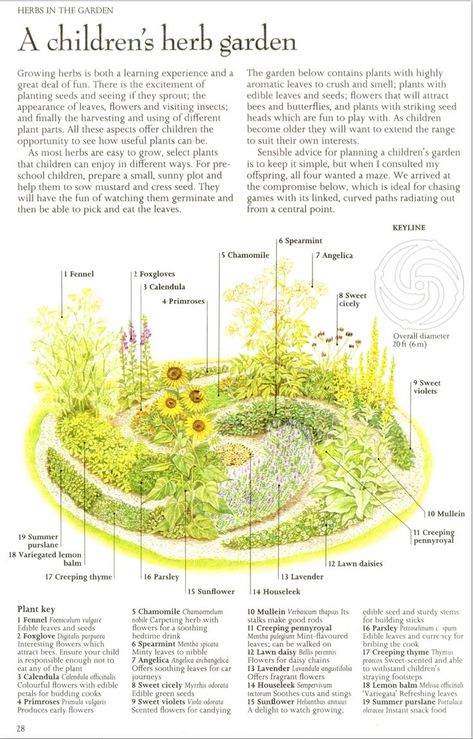 Productive Garden Design, Large Herb Garden Layout, Edible Garden Design Layout, Spice Garden Outdoor, Medicinal Herb Garden Design, Herb Garden Design Layout, Garden Blueprint, Spices Garden, Medicine Garden