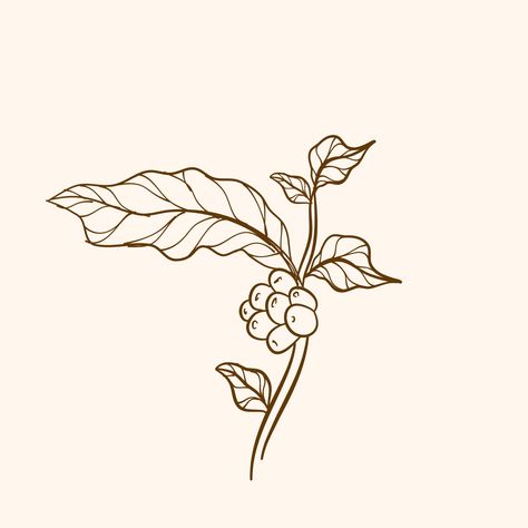 Download the Coffee plant branch with leaf. Hand drawn coffee branch. Engraved coffee bean and plant. Hand drawn vintage branches with leaves and branch. 7630695 royalty-free Vector from Vecteezy for your project and explore over a million other vectors, icons and clipart graphics! Coffee Plant Illustration, Coffee Bean Tree, Branches With Leaves, Coffee Poster Design, Coffee Clipart, Bubble Tea Boba, Coffee Icon, Coffee Tattoos, Coffee Vector