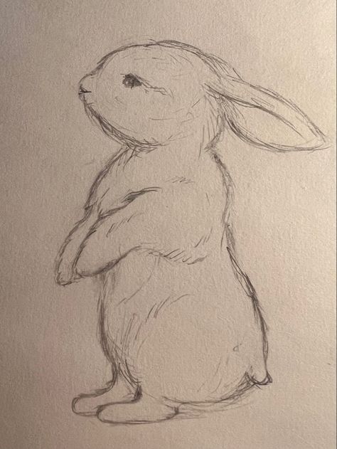 Cute Animals Drawings Sketches, Sketch Animals Easy, How To Draw A Rabbit Easy, Realistic Bunny Drawing, Bunny Base Drawing, Bunny Drawings Easy, How To Draw Rabbits, Bunny Plushie Drawing, Cute Rabbit Drawing Easy