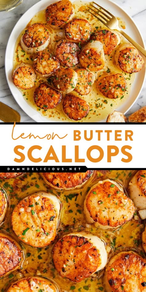 Whip up these garlic lemon butter salmon! 5 ingredients are all you need to have this seafood dish ready in just 10 minutes. So fancy with an amazing flavor, this easy scallop recipe will become one of your favorite weeknight dinners for family! Healthy Recipes Seafood, Nice Lunch Ideas, Lemon Scallops, Fancy Restaurant Food, Lemon Butter Scallops, Easy Scallop Recipes, Healthy Seafood Dinners, Scallop Recipe, Dinners For Family