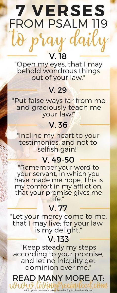 Verses to Pray to Grow Your Love for God's Word - Free Indeed | Praying the Bible | Psalm 119 Verses | How to Pray Scripture | What to Pray | Prayers from the Bible Pray Scripture, Pray Daily, Bible Psalms, Free Indeed, How To Pray, Quotes Bible, Word Free, Psalm 119, Prayer Verses