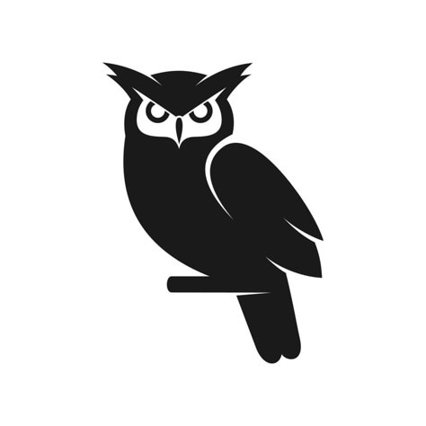 black owl logo Owl Graphic Design, Owl Icon, Owl Logo Design, Owl Symbol, Bear Logo Design, Owl Graphic, Bird Logo Design, Owl Vector, Owl Artwork