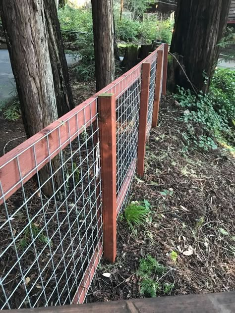 Diy Backyard Fence, Dog Run, Dog Yard, Backyard Fence, Fencing Ideas, Farm Fence, Patio Furniture Ideas, Metal Fence, Dog Fence