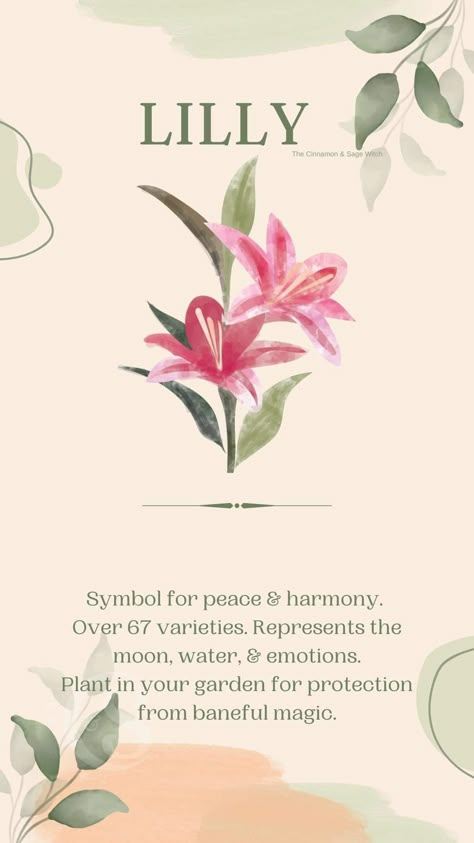 Sakura Meaning, Amarilis Flower, Lily Symbolism, Lily Flower Aesthetic, Facts About Leo, Flowers Symbolism, Plants Meaning, Lily Meaning, Flower Symbolism