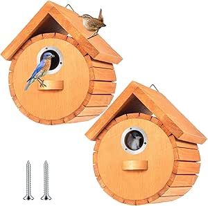 Robin Nest Box, Bow Rack, Small Ladder, Wooden Bird Houses, Bird Box, Decorative Bird Houses, Bird Boxes, Box Houses, Outdoor Decor Backyard