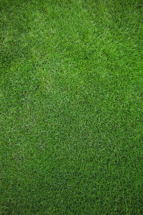 Grass From Above, Grass Texture Seamless, Green Grass Texture, Grass Floor, Baby Shower Photo Backdrop, Shower Photo Backdrop, Frame Texture, Backdrops Wedding, Grass Photo