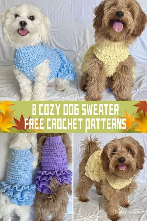 Crochet Dog Sweater Free Pattern, Sweater Crochet Patterns, Diy Dog Sweater, Crocheted Dog, Dog Sweater Crochet, Sweater Free Pattern, Pet Crochet, Dog Dress Pattern, Crochet Dog Clothes