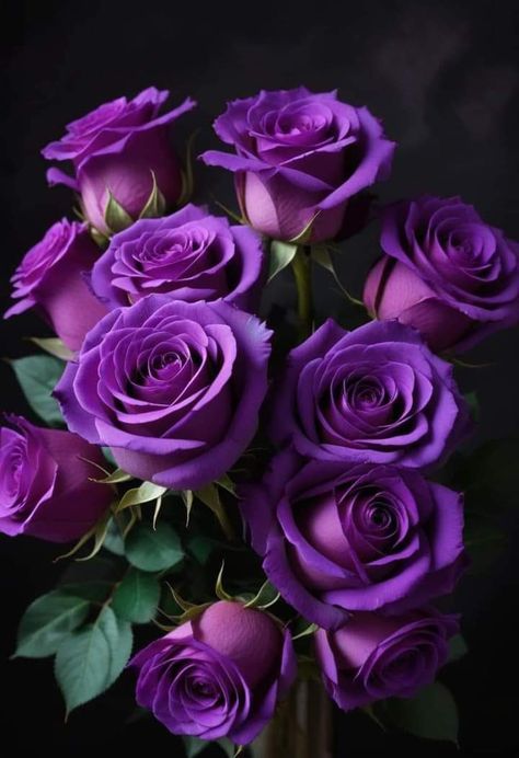 Roses Pictures, Goth Garden, Dark Purple Wallpaper, Luxury Flower Bouquets, Rose Violette, Rose Pictures, Cute Flower Wallpapers, All Things Purple, Purple Rose