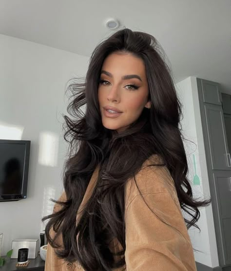 Ally Yost Hair, Ally Yost, Soft Healthy Hair, Rambut Brunette, Dark Brunette Hair, Brown Hair Inspo, Long Dark Hair, Inspo Instagram, Hair Inspo Color