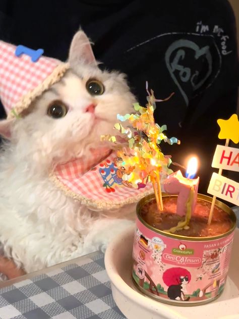 cat Happy Birthday Silly Cat, Cat With Birthday Hat, Cat With Party Hat, Birthday Cat Meme, Happy Birthday Cat Meme, Russian Cat, Happy Birthday To Me Cat Memes, Happy Birthday Cat, Birthday Cat