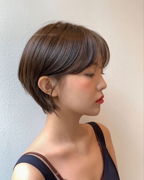 ผมทรง Long Pixie, Korean Pixie, Longer Pixie Haircut, Pixie Haircut For Round Faces, Korean Short Hair, Asian Short Hair, Hair Inspiration Short, Short Hair Trends, Long Pixie