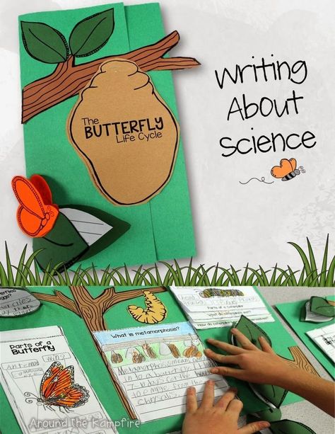 Butterfly Life Cycle Foldable, Butterfly Math Activities, Butterfly Life Cycle Activity, Butterfly Lessons, Science Life Cycles, Science Experience, Butterfly Science, Butterflies Activities, Animal Life Cycles