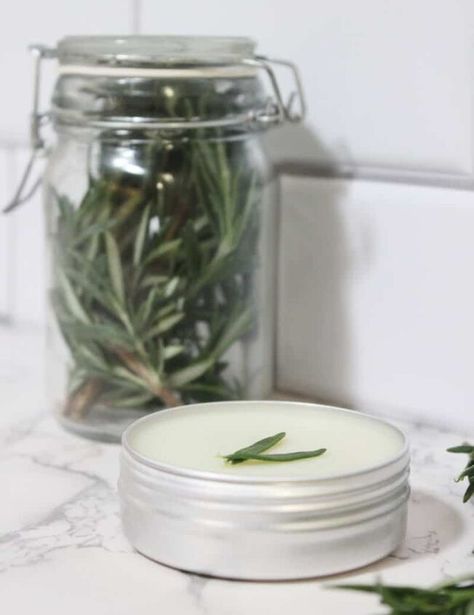 Rosemary Salve Recipe, Rosemary Salve, Benefits Of Rosemary, Salve Recipes, Skin Care Ideas, Cracked Skin, Diy Skincare, Olive Leaf, Fresh Herbs